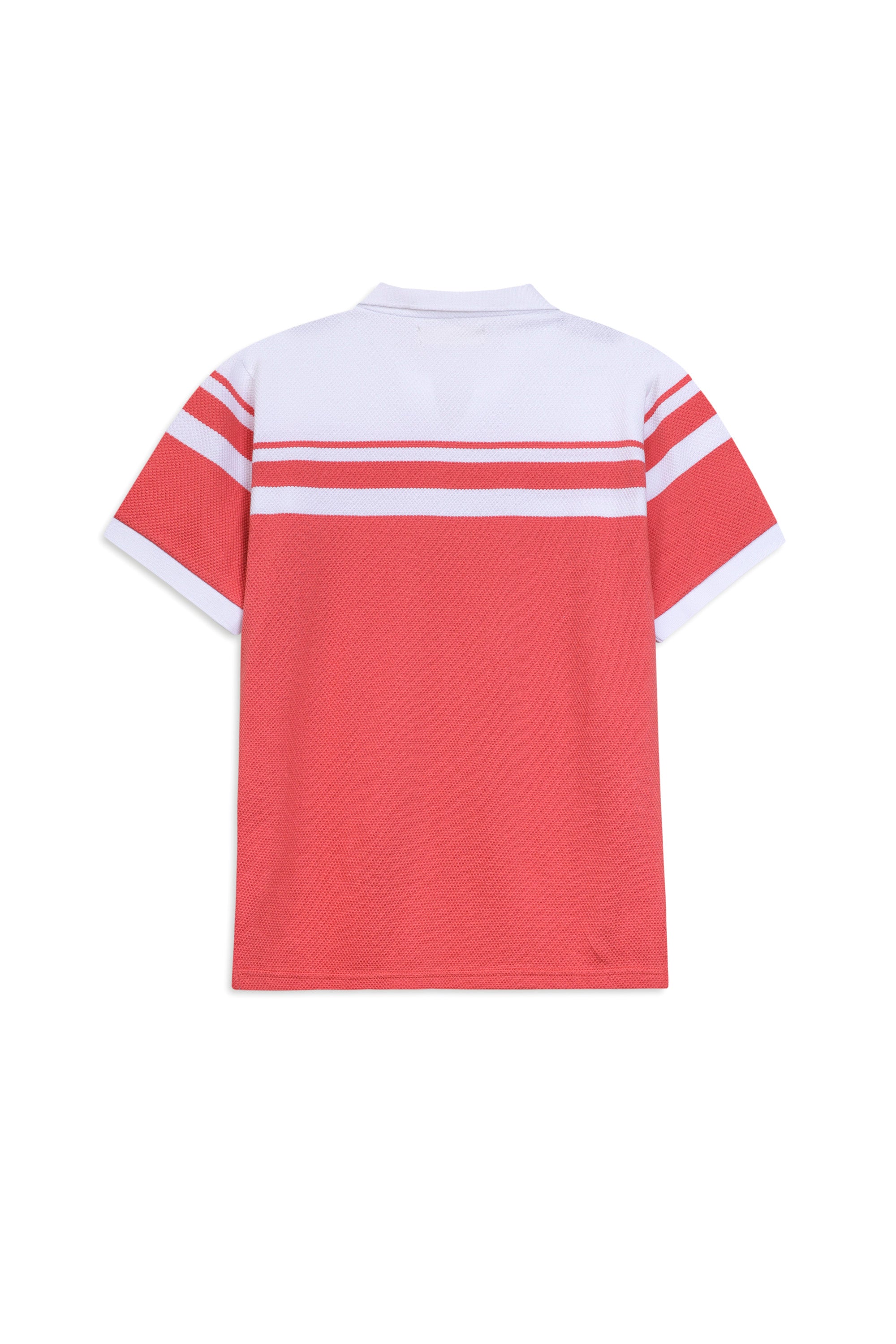 Signature Johny Color Polo