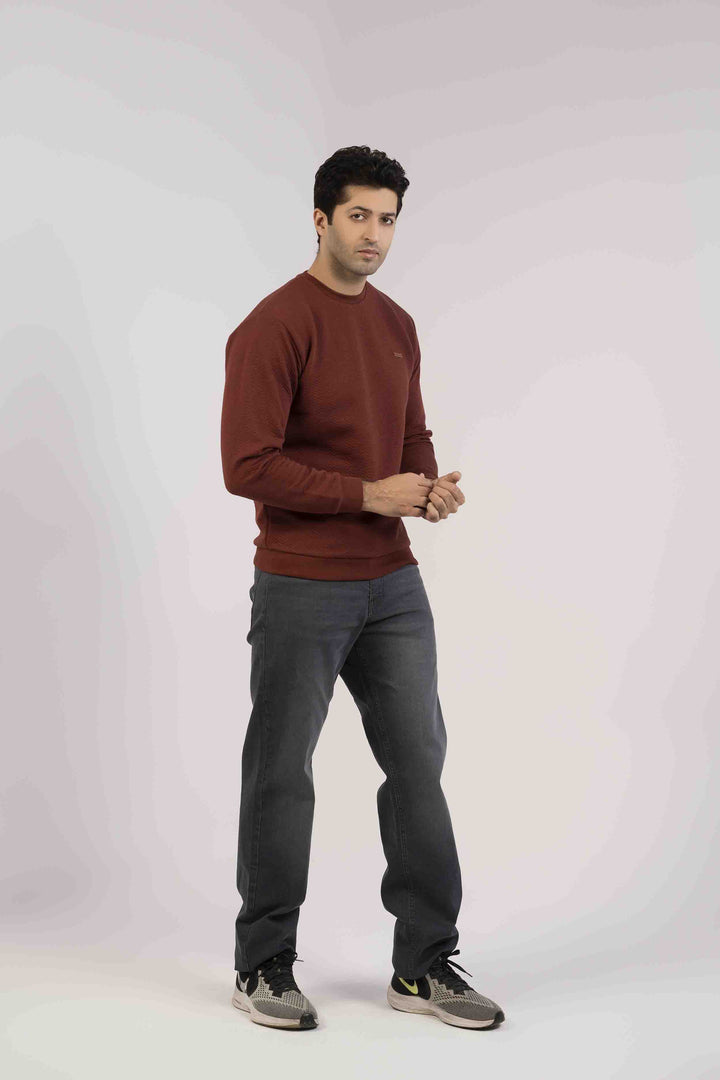 Regular Fit Grey Color Men Jeans