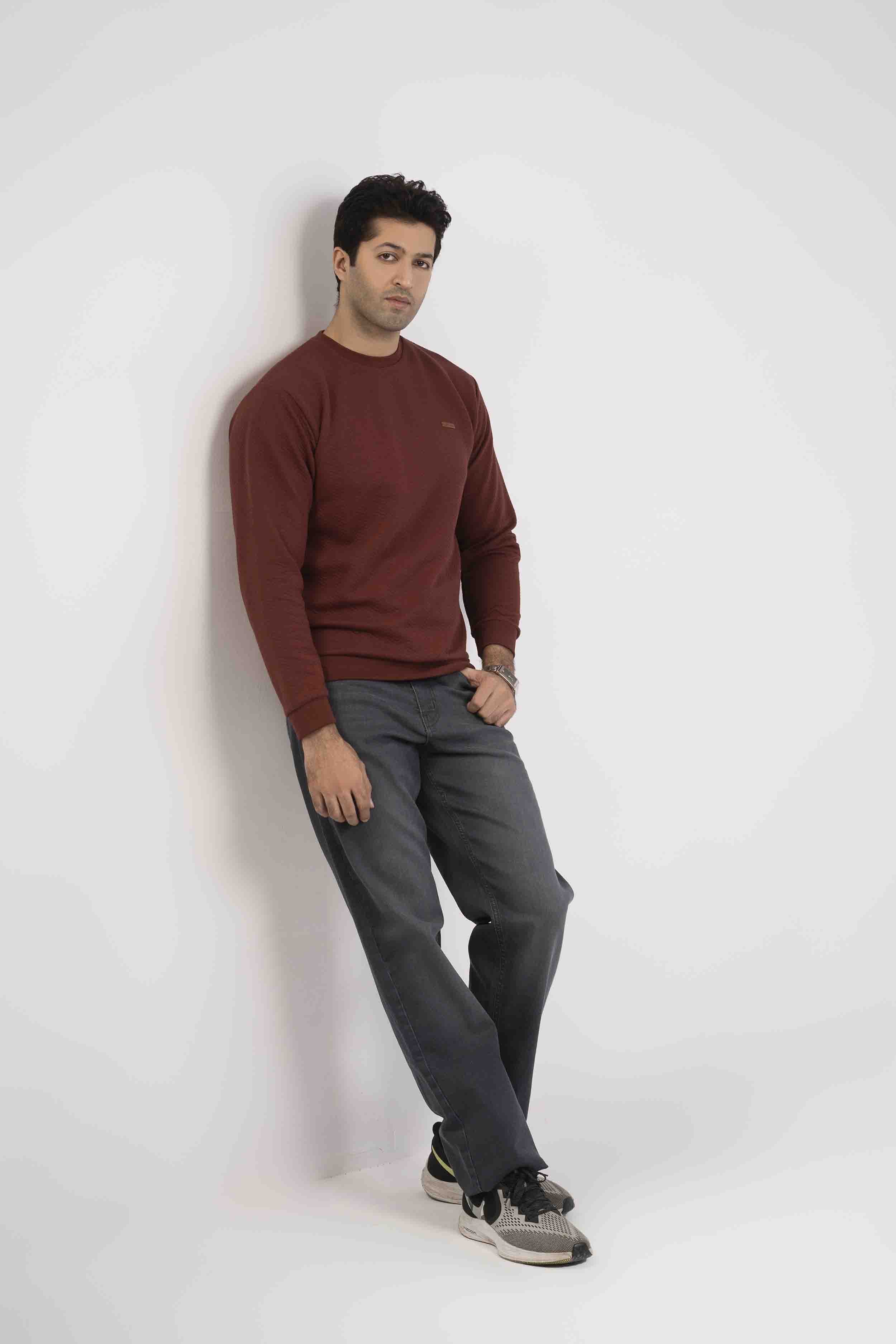 Regular Fit Grey Color Men Jeans